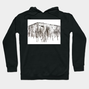 Northern Norway winter forest Hoodie